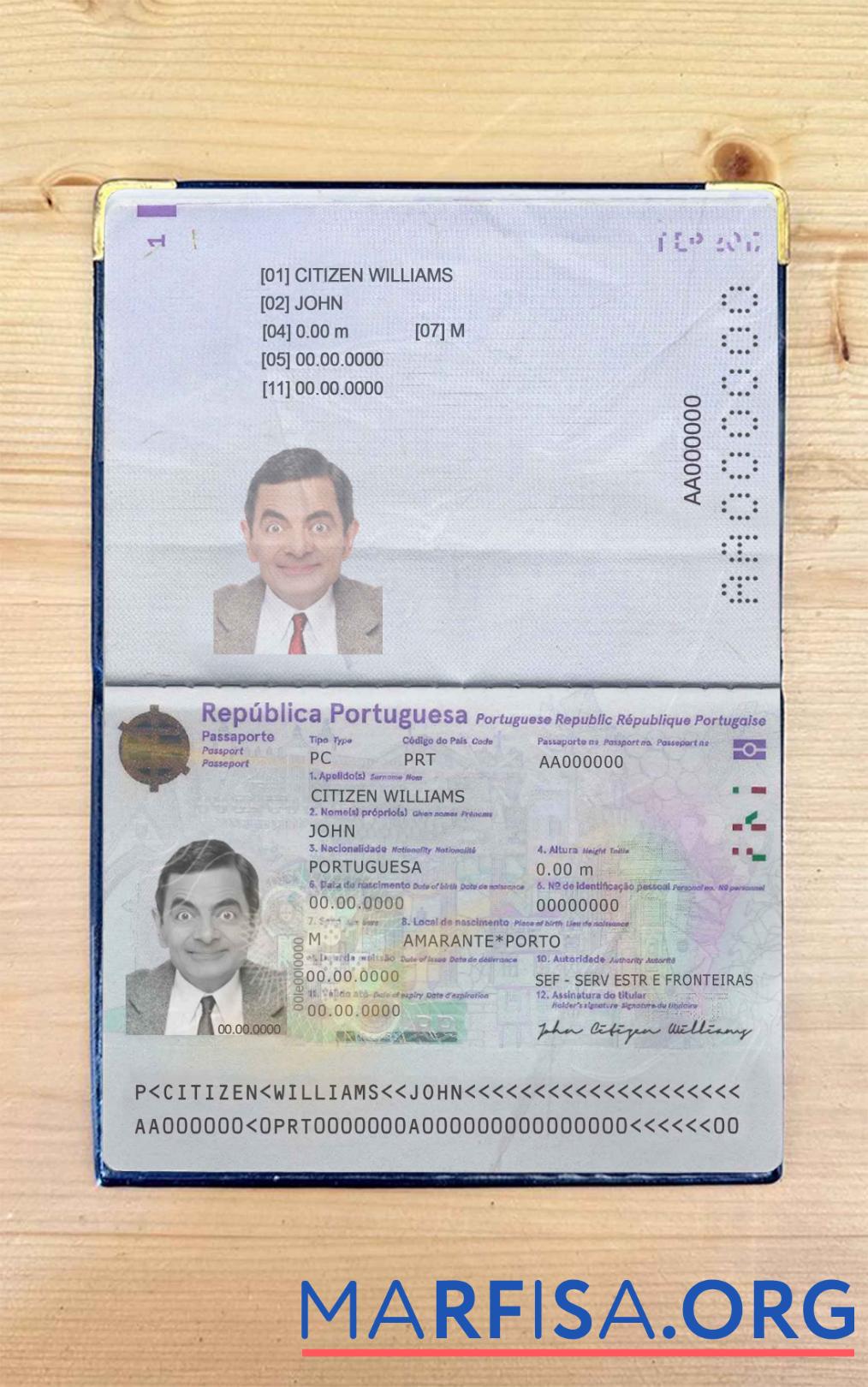 Printable Portugal pass (2017 present) photo look example